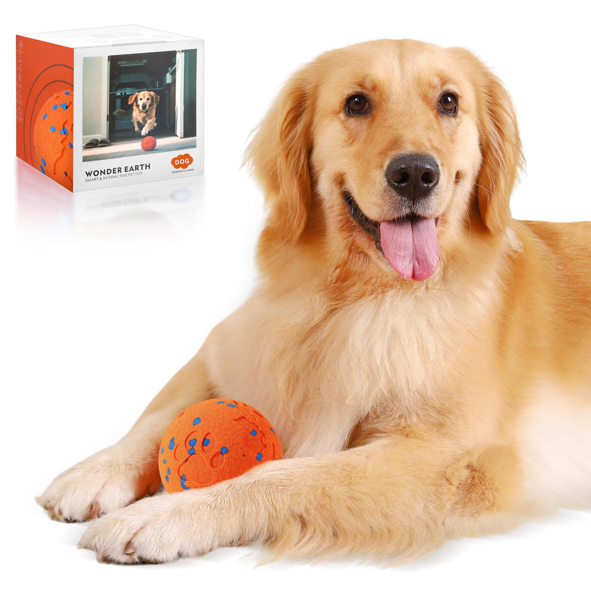 Zizimoko smart interactive dog ball front view highlighting durable design for high-energy dogs