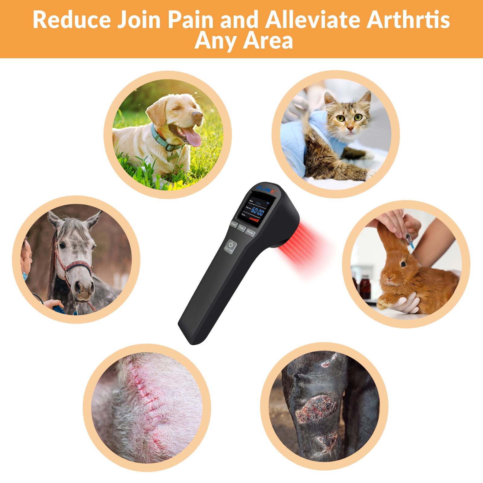 ZJKC cold laser device used on a dog for localized relief.