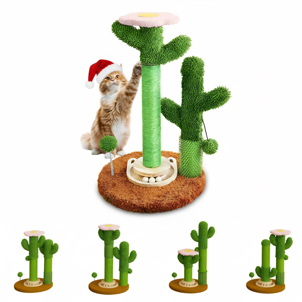 ZLAFM cactus cat scratching post assembly shows modular design for customizable playtime.