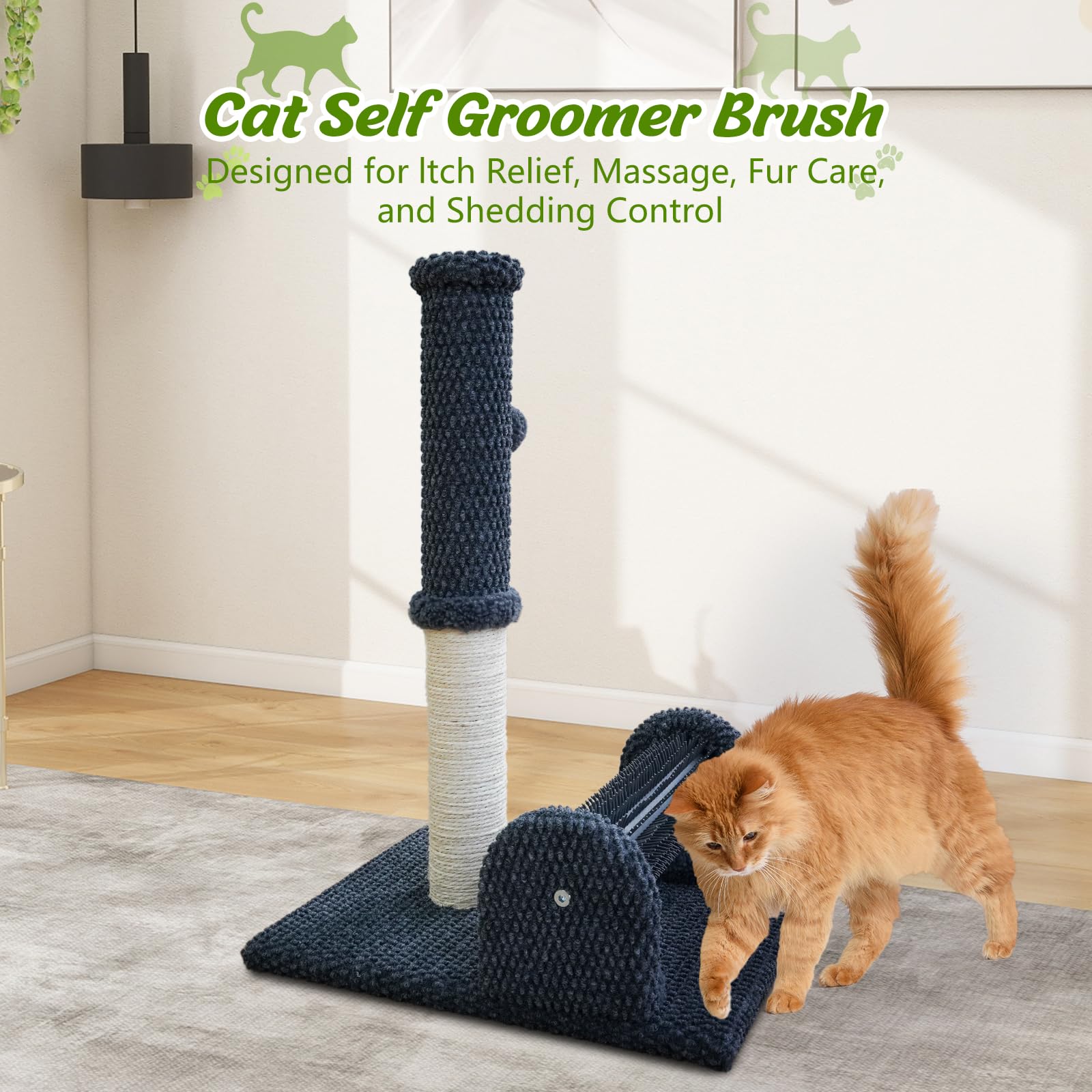 ZLAFM 22-inch height fits kittens and adult indoor cats