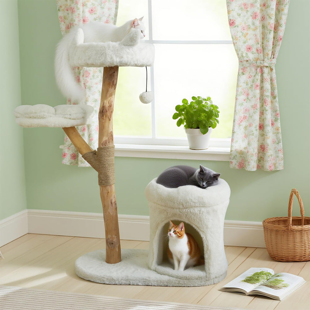 ZLAFM Solid Wood Base Double Basement ensures stability for bigger cats.