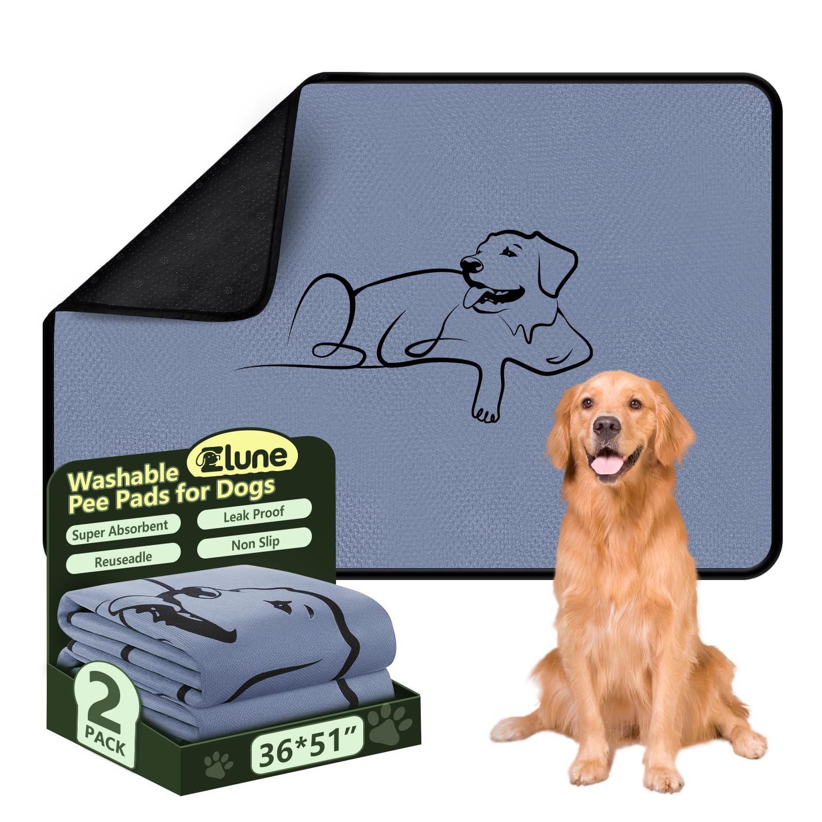 Zlune washable puppy pads in use protect floors during training and accidents