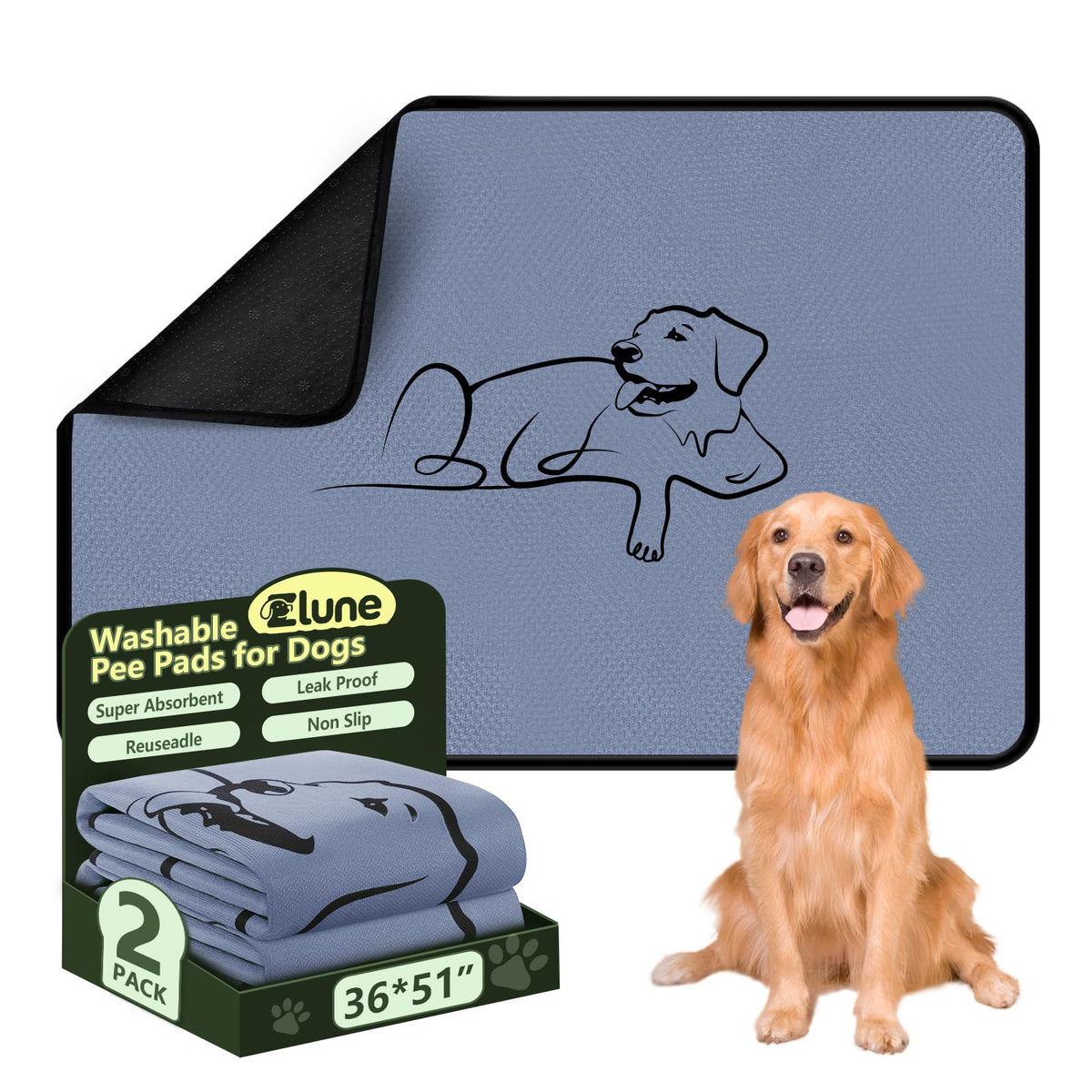 Zlune washable puppy pads in use protect floors during training and accidents
