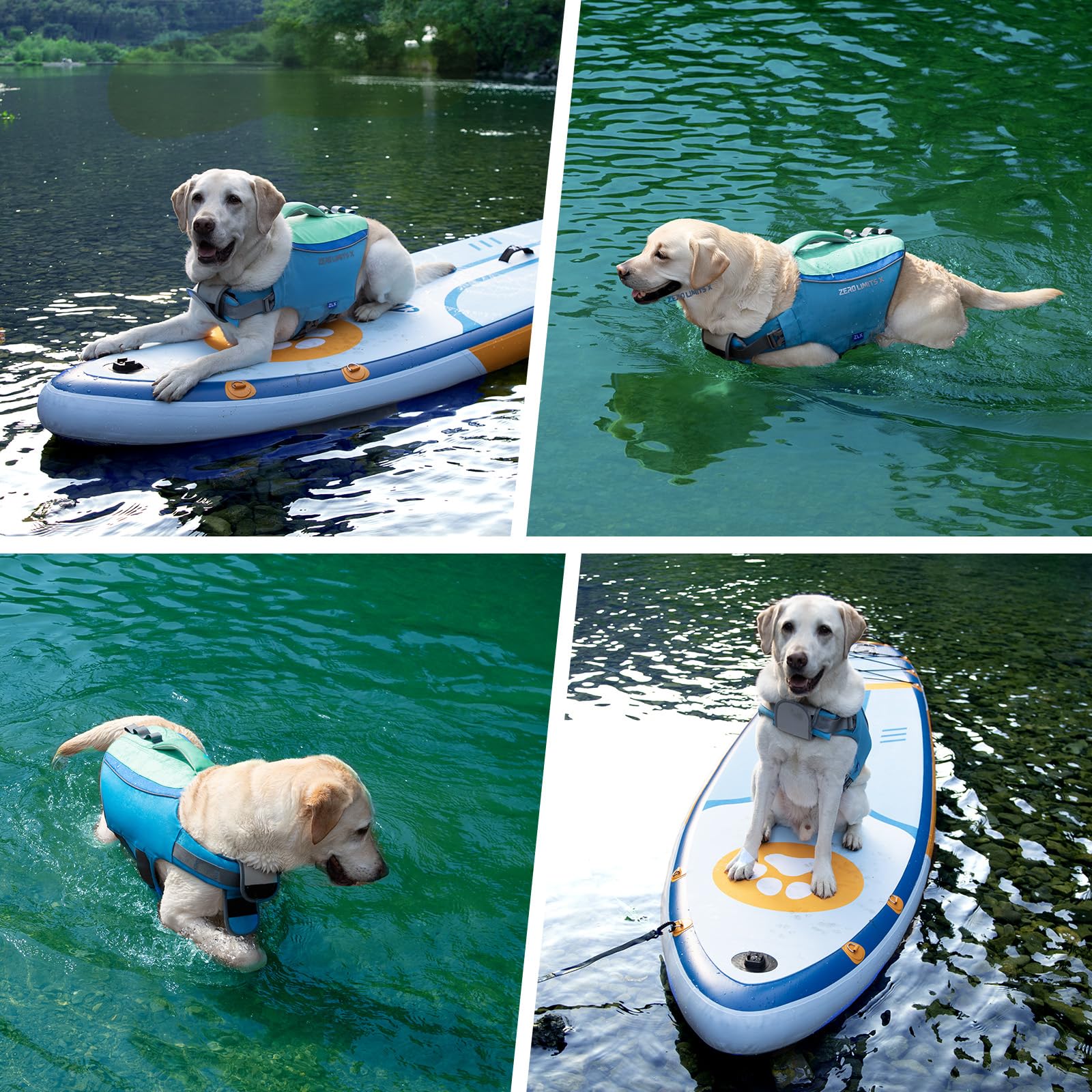 ZLX dog life jacket blue performance comfort with lightweight design for active dogs