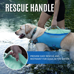 ZLX dog life jacket blue top rescue handle in use during water activity