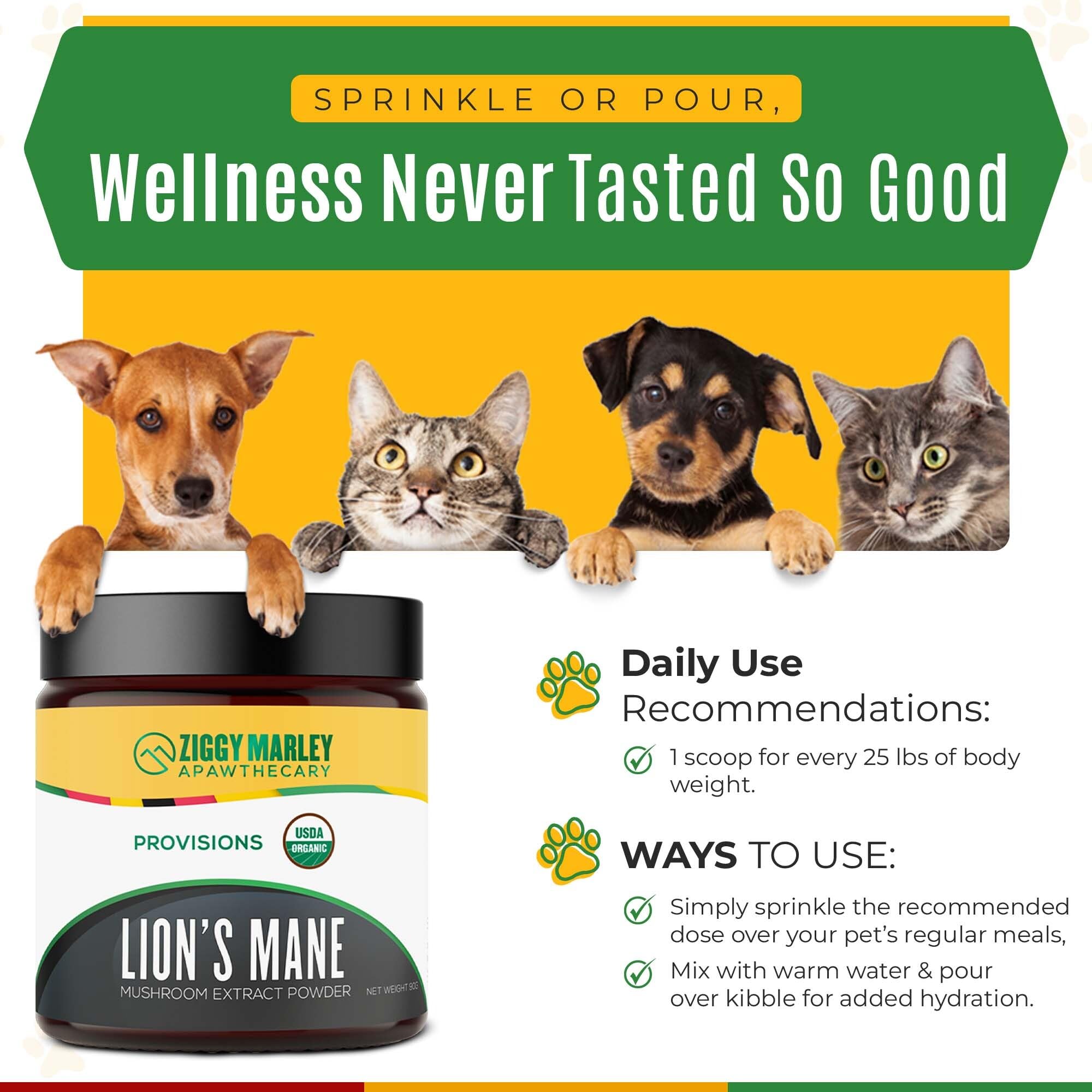 ZMA PETS Fruiting body extract visual emphasizes potent mushroom compounds.