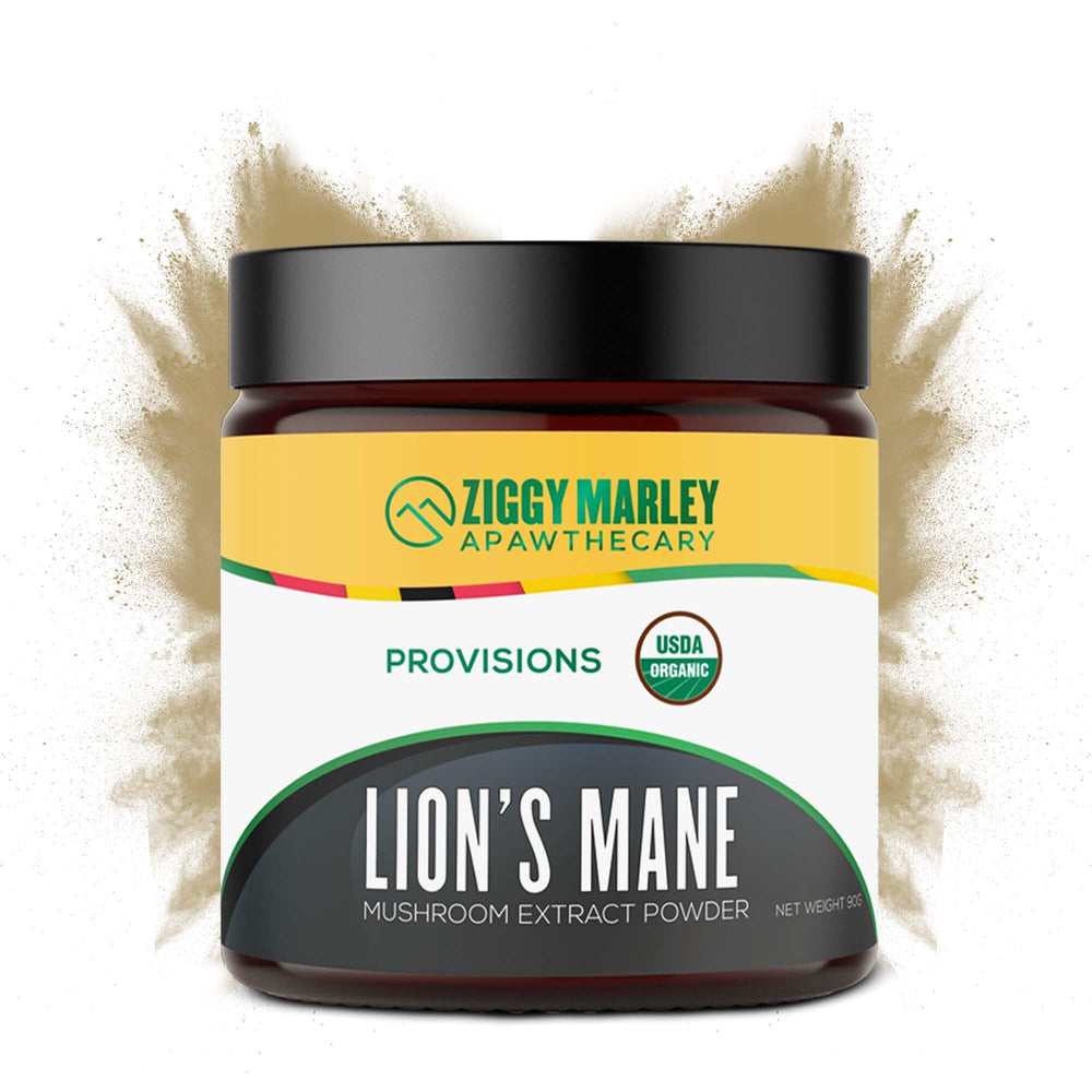 ZMA PETS organic Lions Mane powder jar supports cognitive freshness in pets.