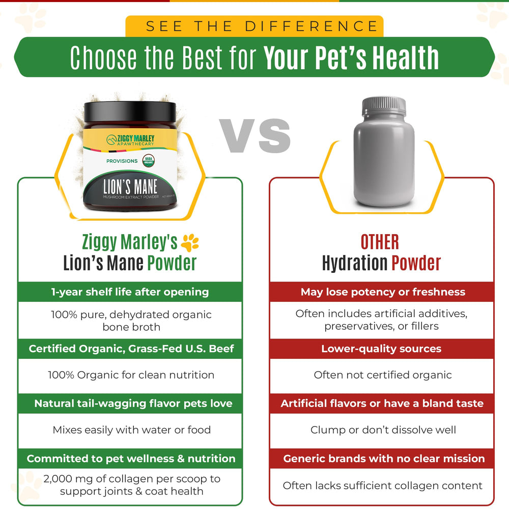 ZMA PETS resealable jar closeup shows convenient storage and freshness.