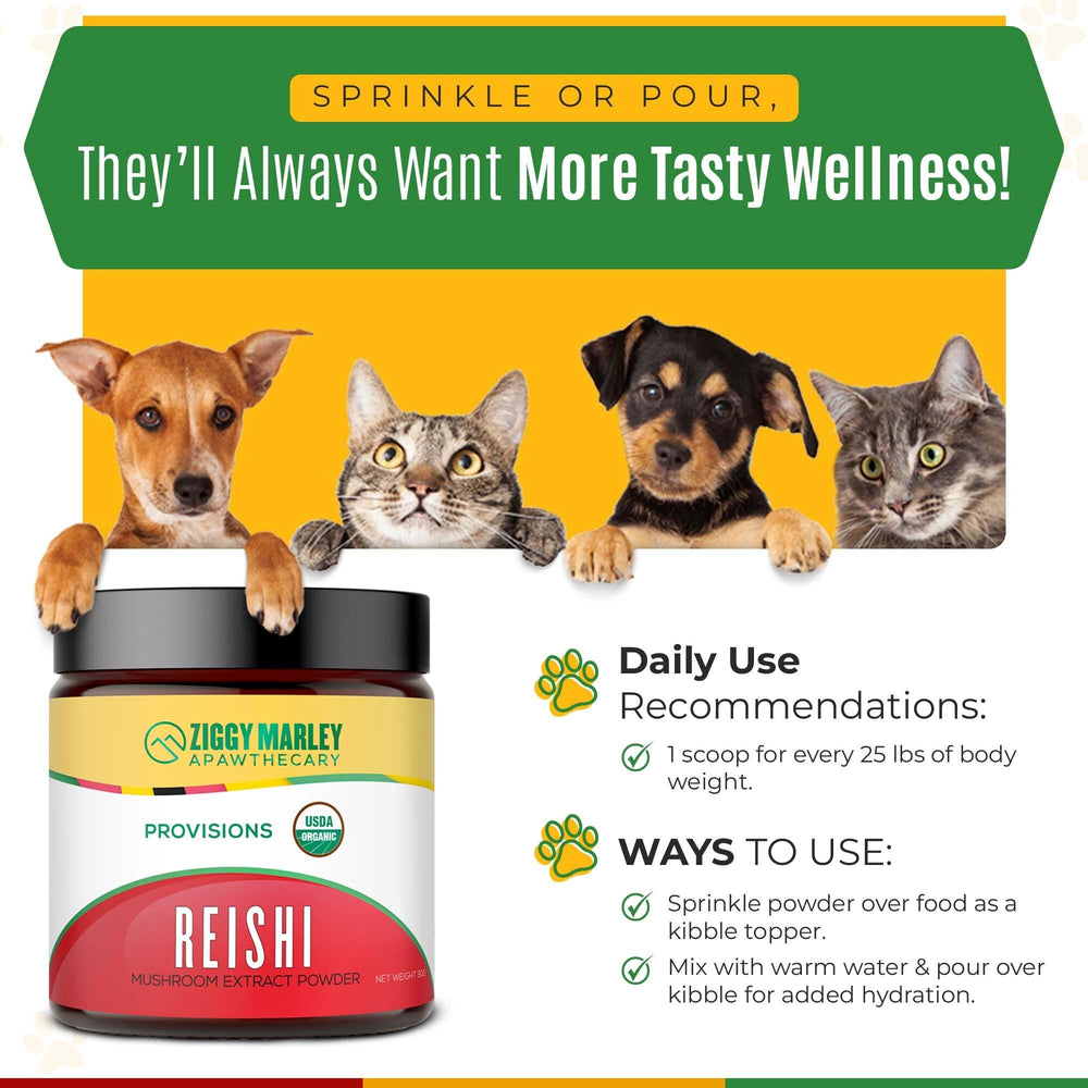 ZMA Pets Ziggy Marley Reishi powder shown over pet food for easy mixing.