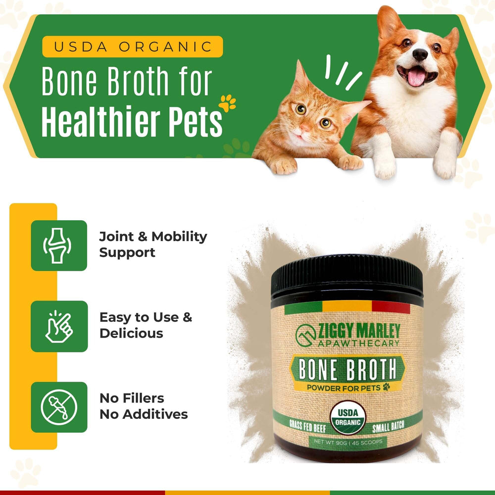 ZMA Pets Ziggy Marley’s bone broth powder jar closeup showcases easy scoop serving for pets.