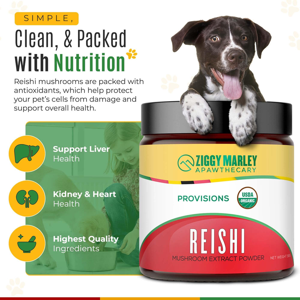 ZMA Pets Ziggy Marley mushrooms sourced from organic Canadian farms.