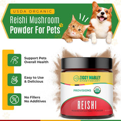 ZMA Pets Ziggy Marley Reishi powder scoop ready for precise 2g servings.