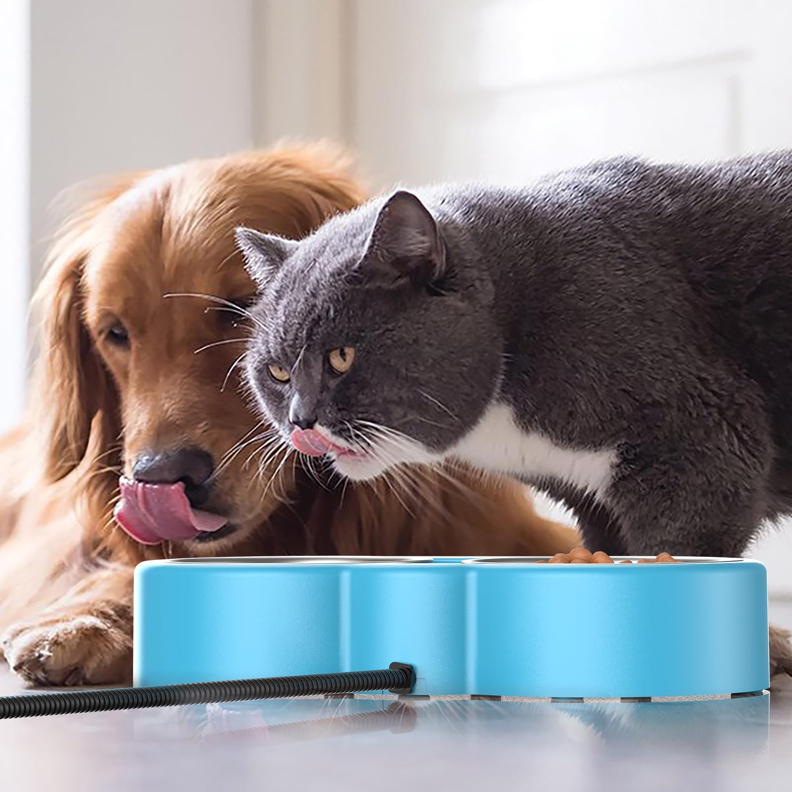 ZNOFAN outdoor heated pet bowl nonfreezing food and water during winter.