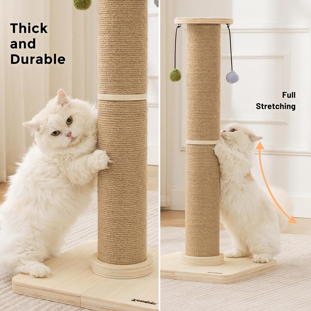 ZOMISIA easy-assembly kit quick screw-together setup for fast cat-ready fun