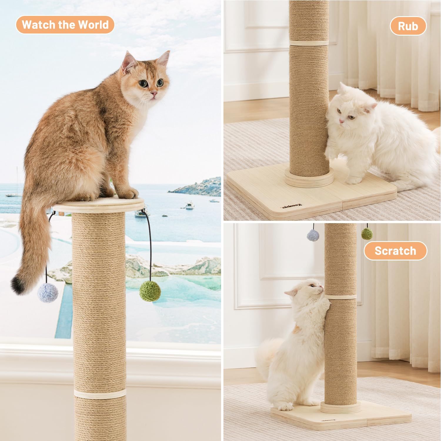 ZOMISIA 35'' cat post in living room blends with décor while entertaining cats
