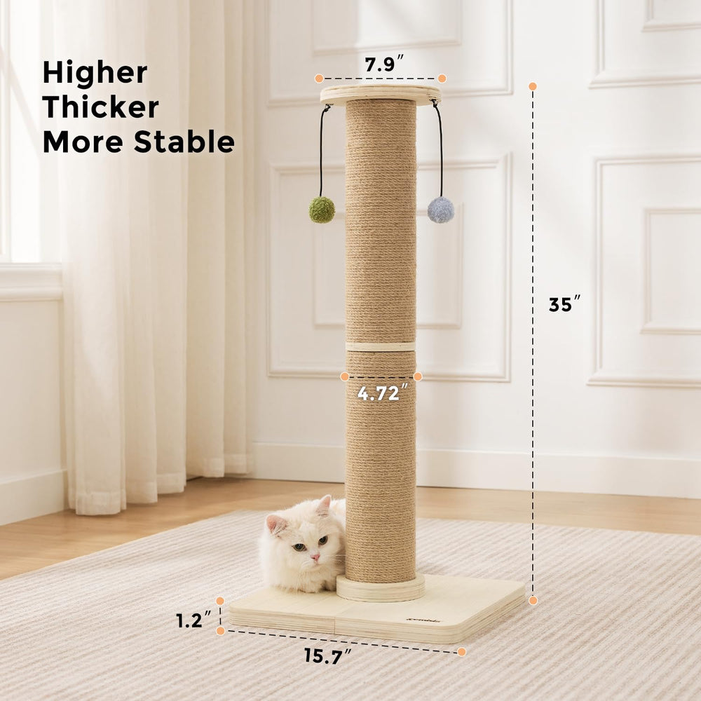 ZOMISIA top perch double-duty playground for climbing, observation, and play