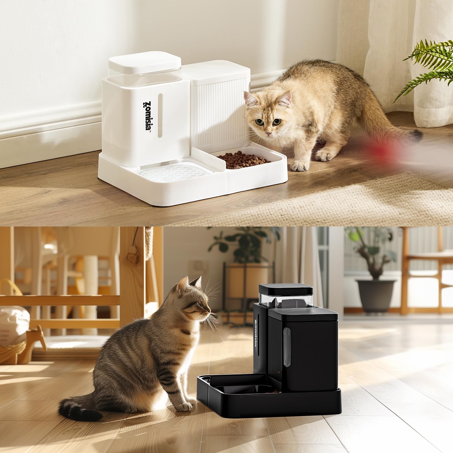 ZOMISIA busy-owner setup image suggests reliable feeding during work or travel.