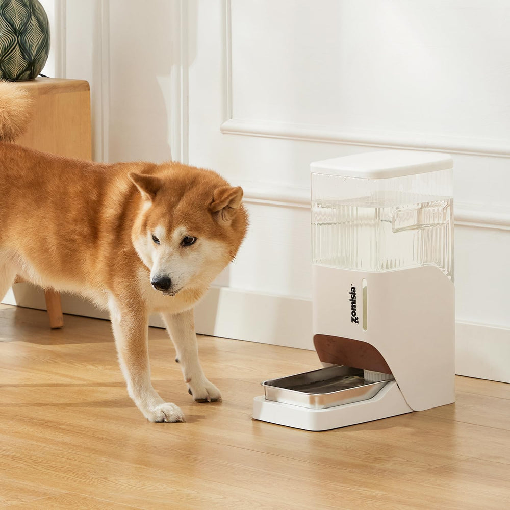 ZOMISIA dog water dispenser suited for indoor and outdoor use.