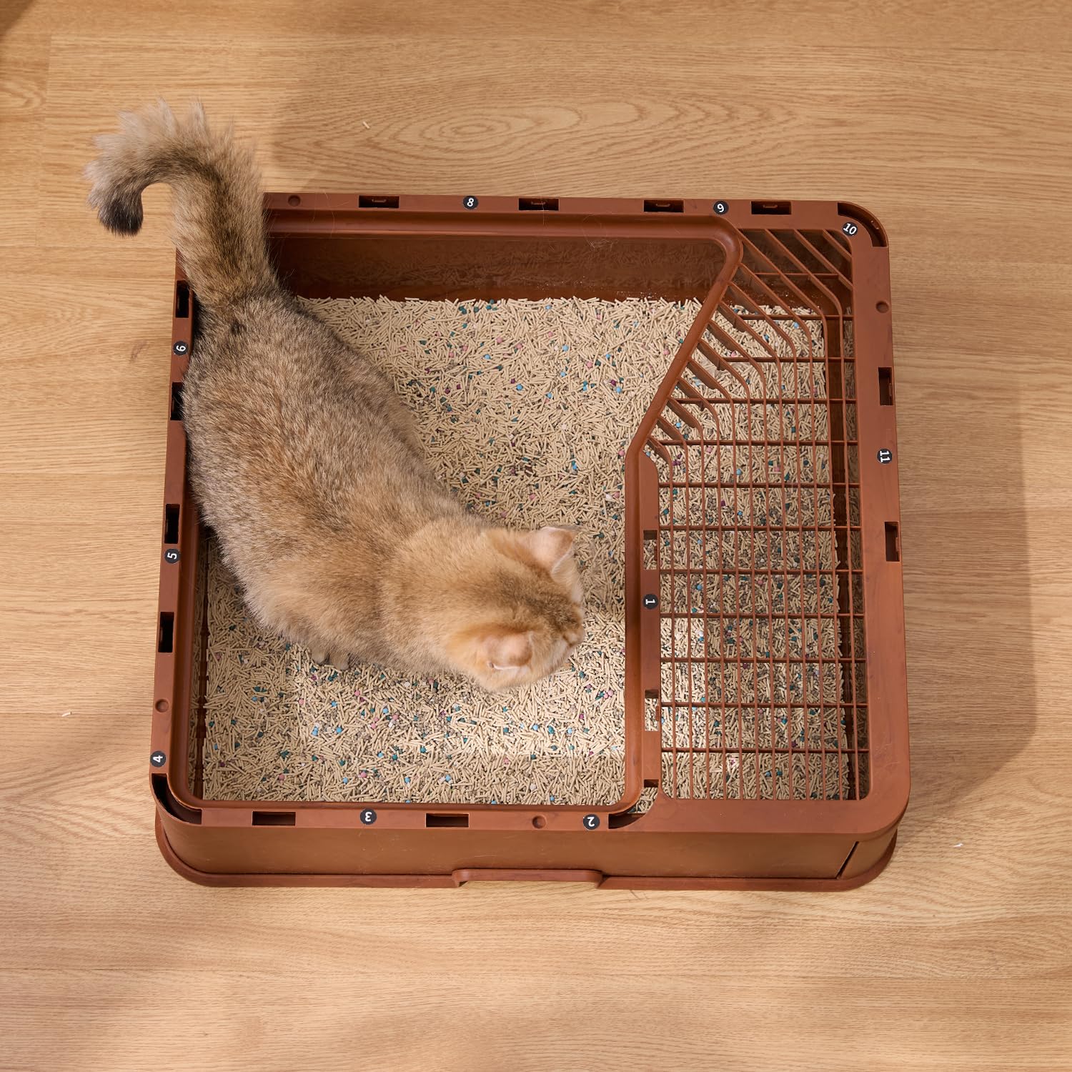 ZOMISIA enclosed design traps litter and odors for private use.