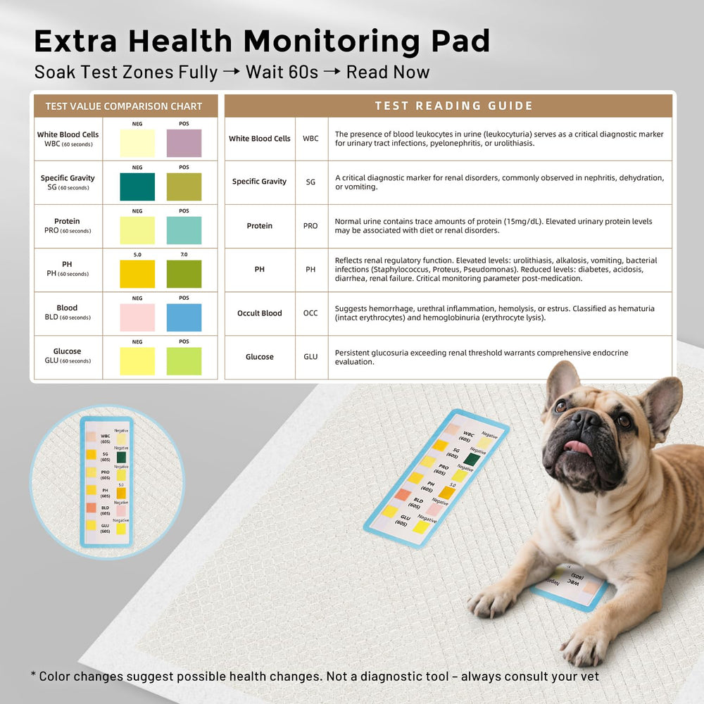 ZOMISIA health-monitoring pad color-change zone demonstrates urine pattern tracking.