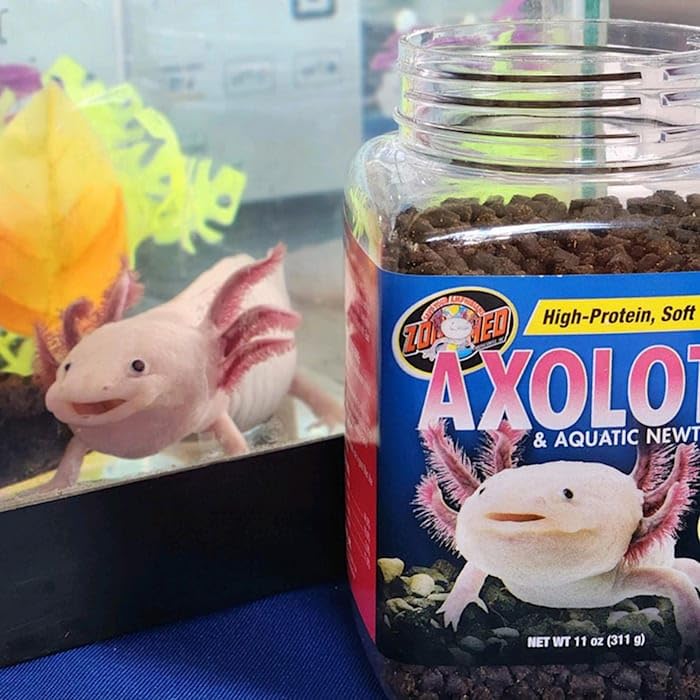 Zoo Med Axolotl & Aquatic Newt Food serving in aquarium for feeding
