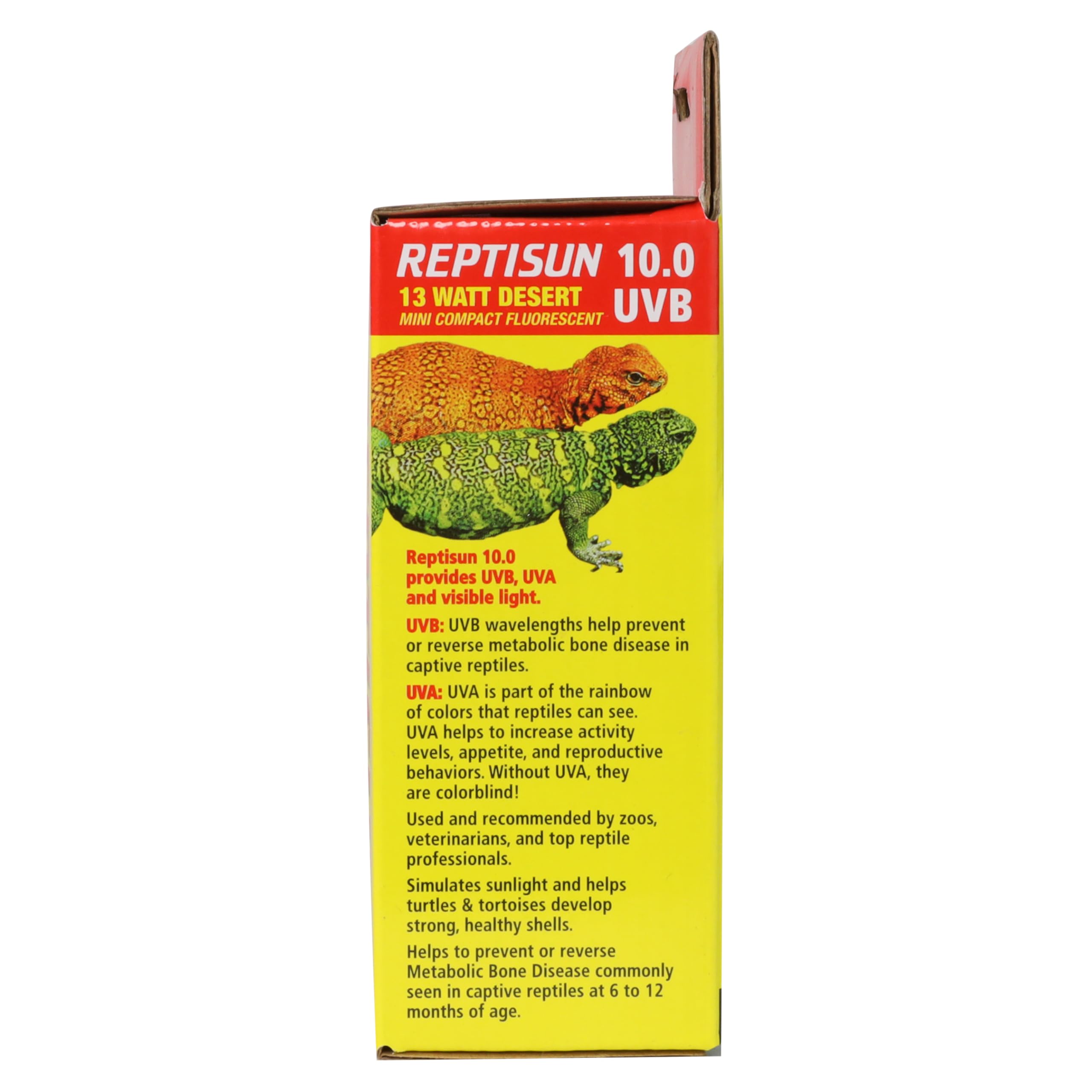 Zoo Med ReptiSun 10.0 Mini fits standard E26 socket for easy installation.