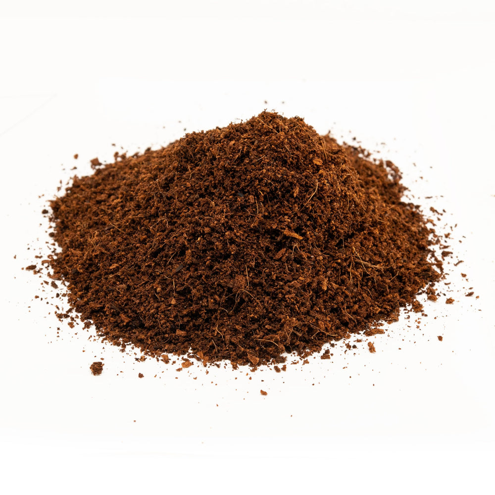 Zoo Med Eco Earth: absorbe olores y desechos de forma natural