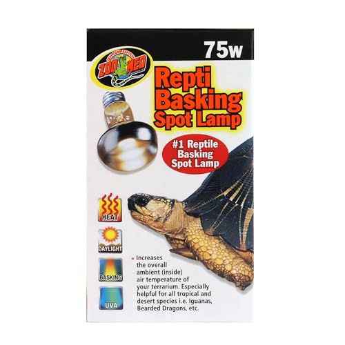 Zoo Med Repti Basking Spot Lamp 75W desert-reptile-setup demonstrates heat for thermoregulation