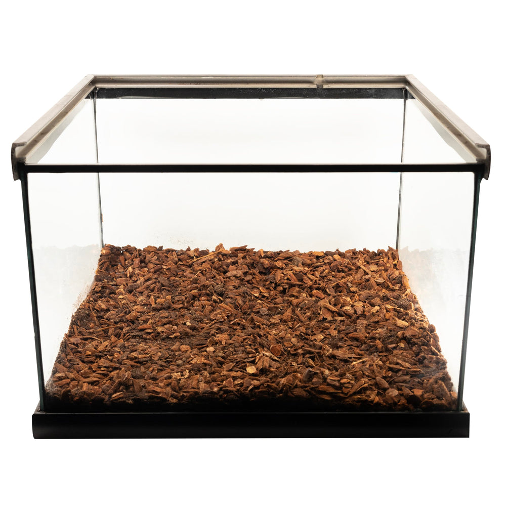 Zoo Med Reptile Bark Fir Bedding humidity-scene demonstrates how it supports natural humidity levels.