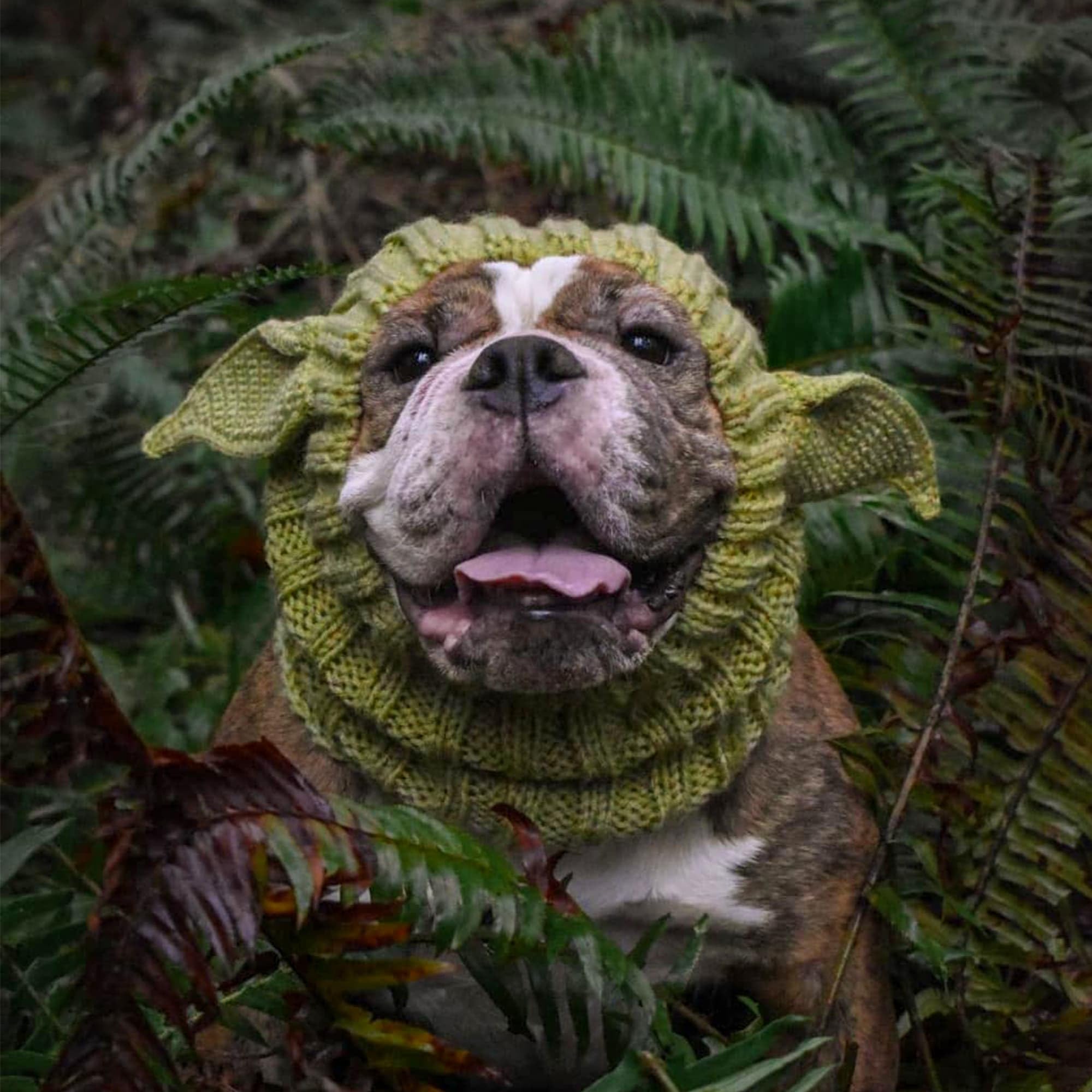 Zoo Snoods Baby Yoda Costume playful look for Halloween costumes