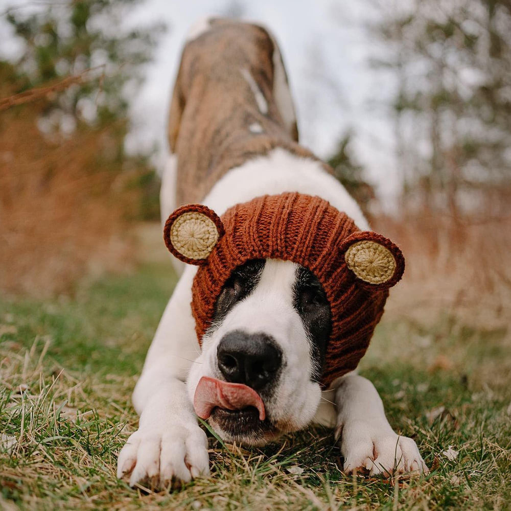 Zoo Snoods breed-compatibility guide image demonstrates versatile sizing.
