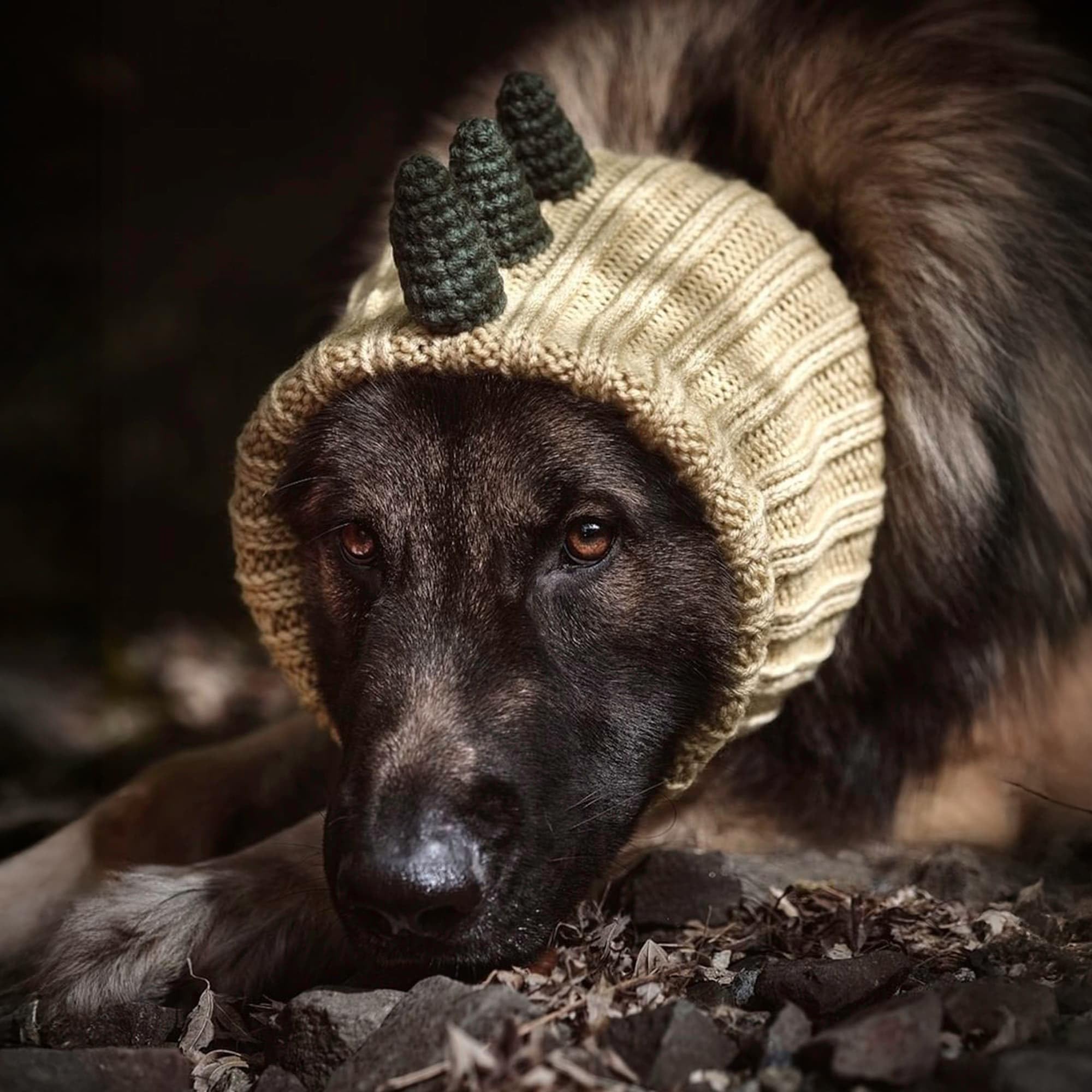 Zoo Snoods Dinosaur Costume protecting against dirt and moisture during outdoor walks
