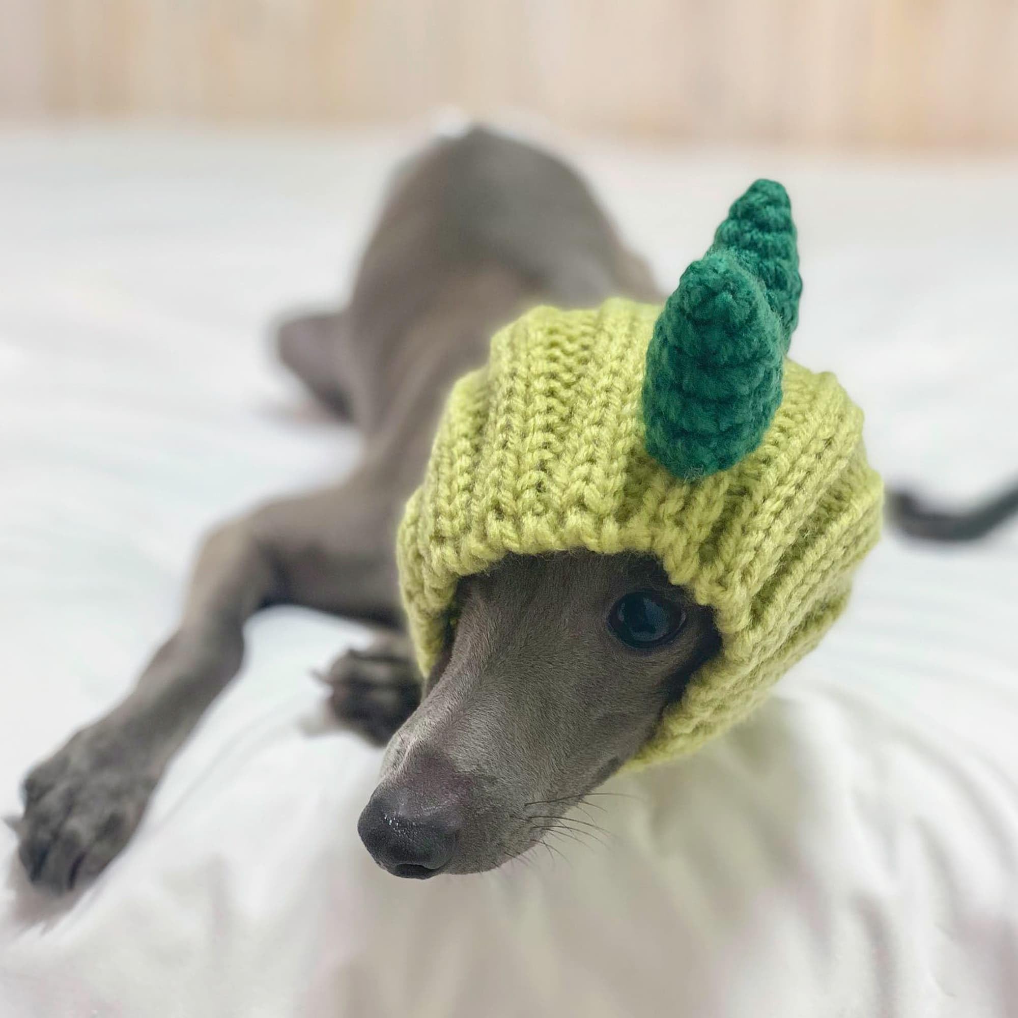 Zoo Snoods Dinosaur Costume Halloween-ready look for festive pet moments