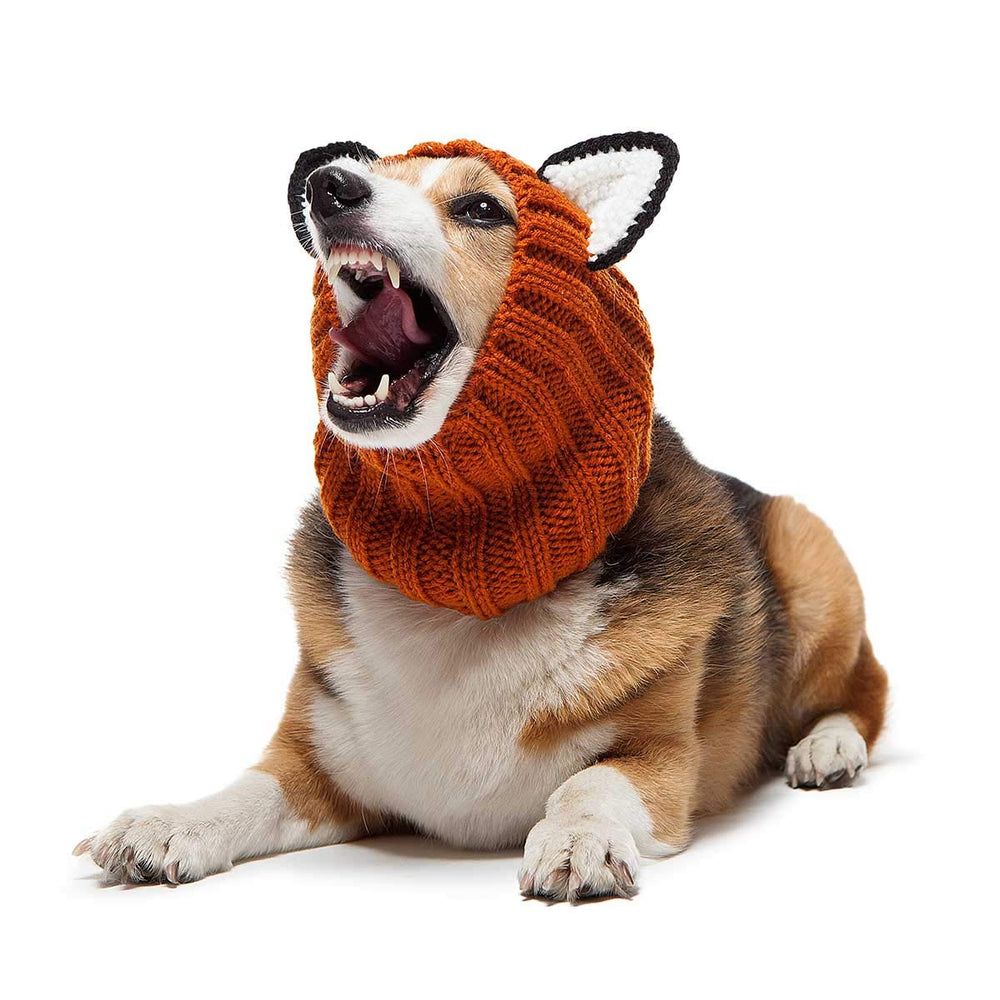 Zoo Snoods Fox Costume dog wearing during snowy outdoor stroll.