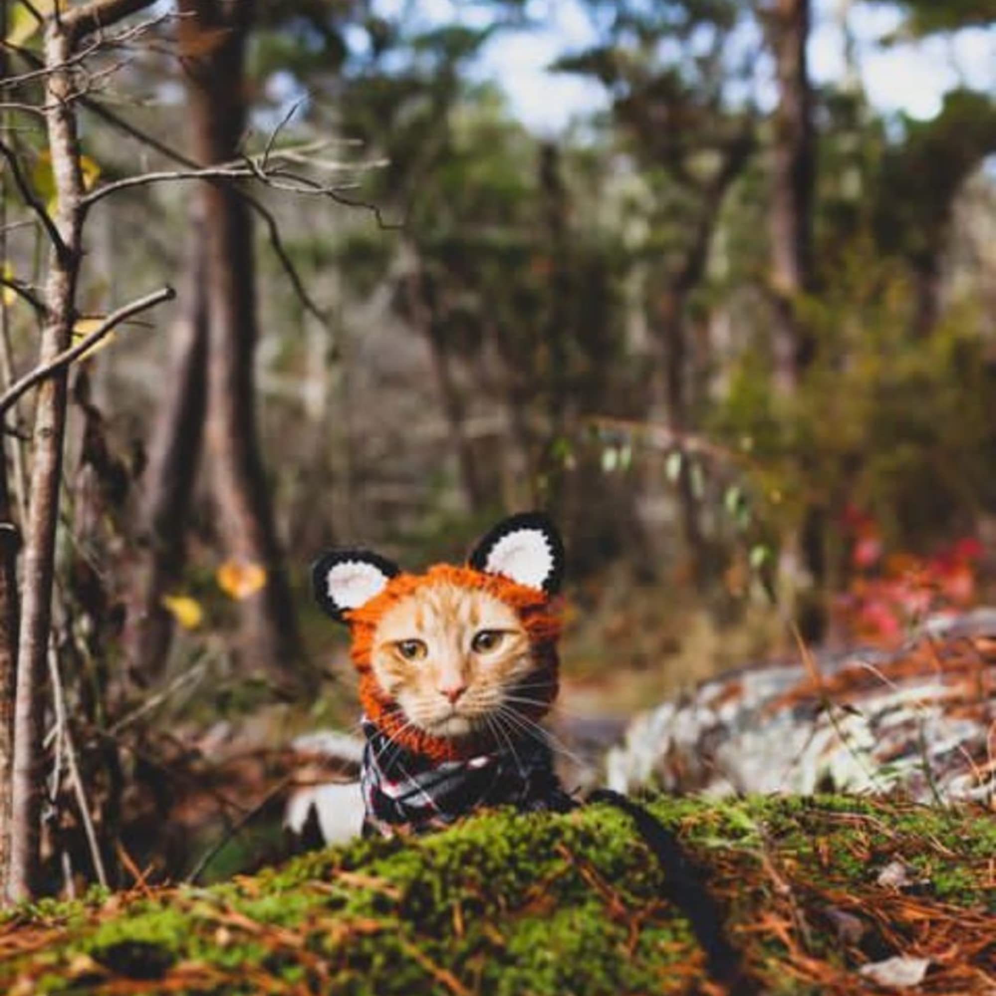 Zoo Snoods Fox Costume warmth and wind protection during chilly walks.