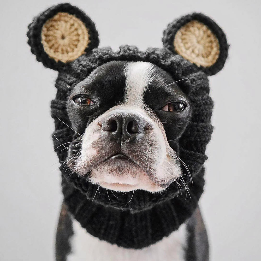 Zoo Snoods Halloween-ready dog costume for festive play