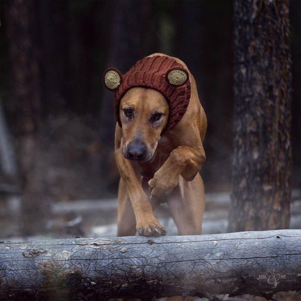Zoo Snoods Halloween winter style adds cute protection for pets.