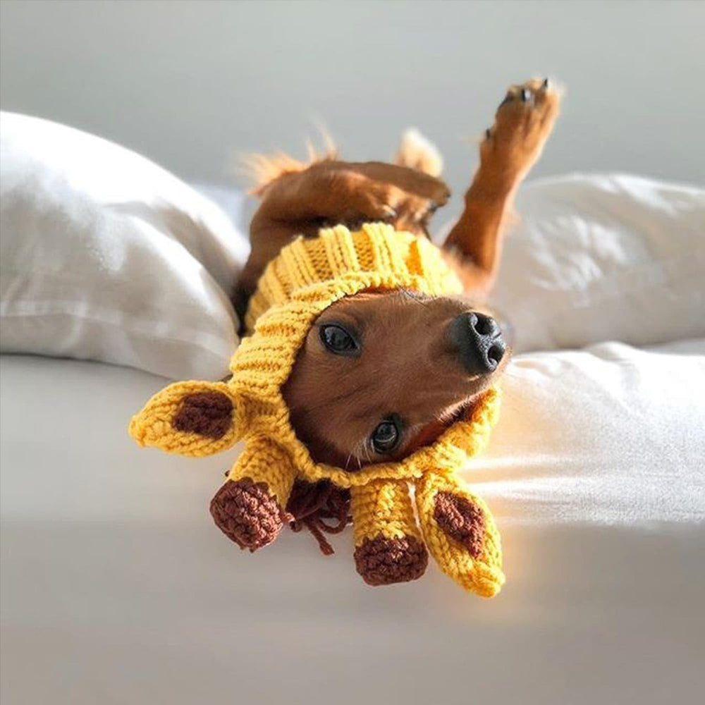 Zoo Snoods halloween-winter-use shown as seasonal pet accessory