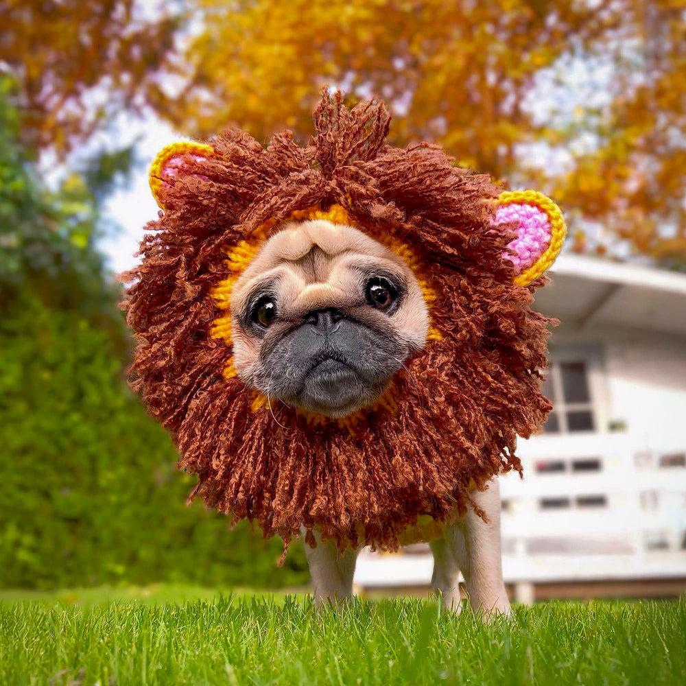 Zoo Snoods handmade lion snood adds playful style during walks