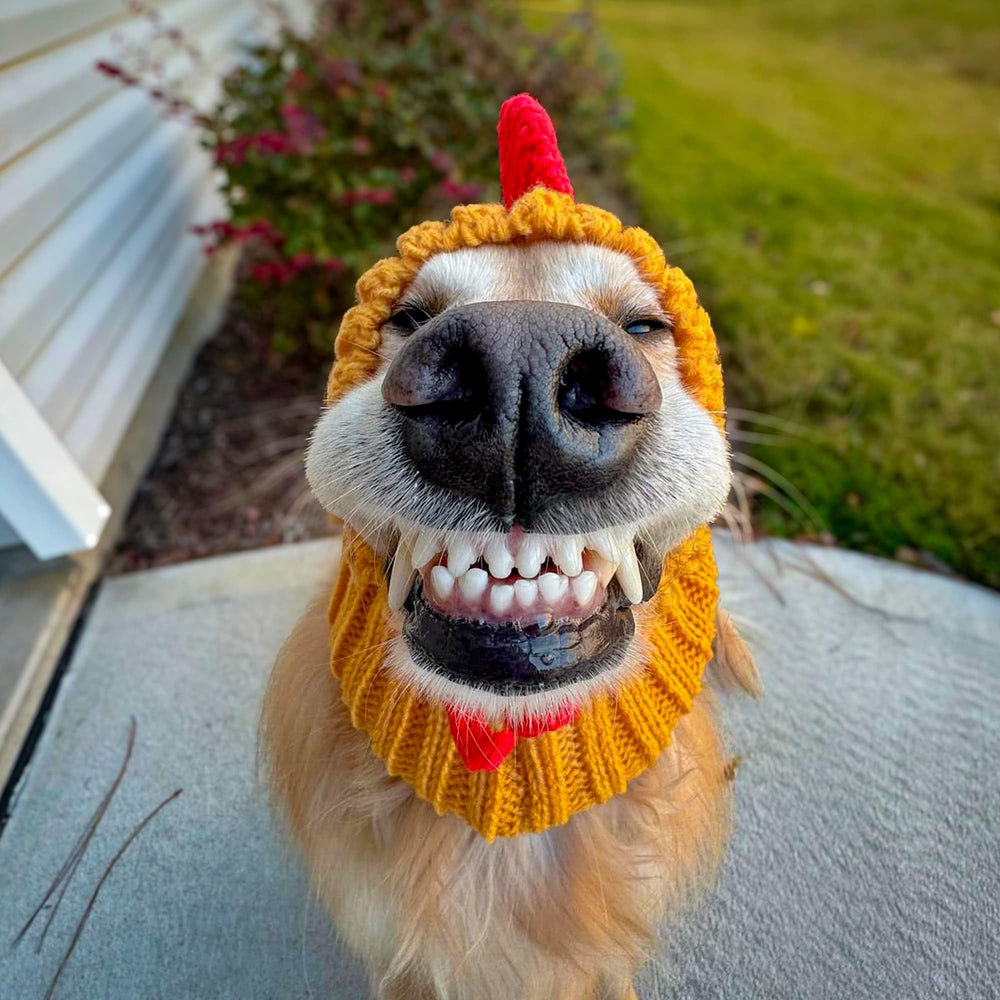 Zoo Snoods handmade-knitted-rooster-snood demonstrates craftsmanship and durable warmth