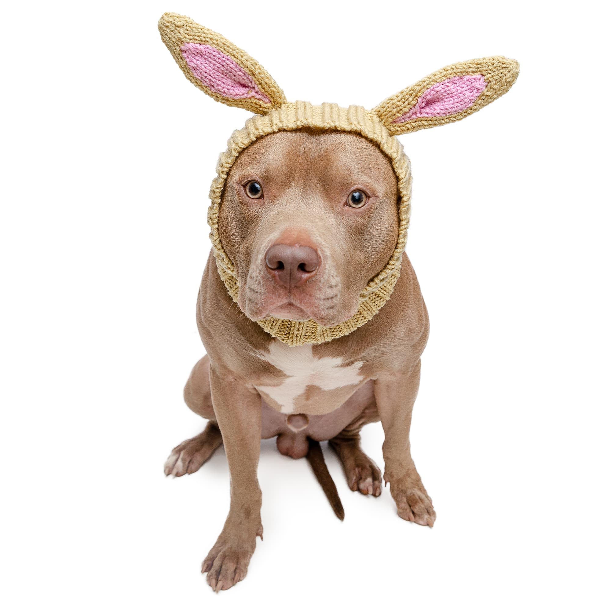 Zoo Snoods Jack Rabbit Costume dog snood: cozy knit warmth for pets.