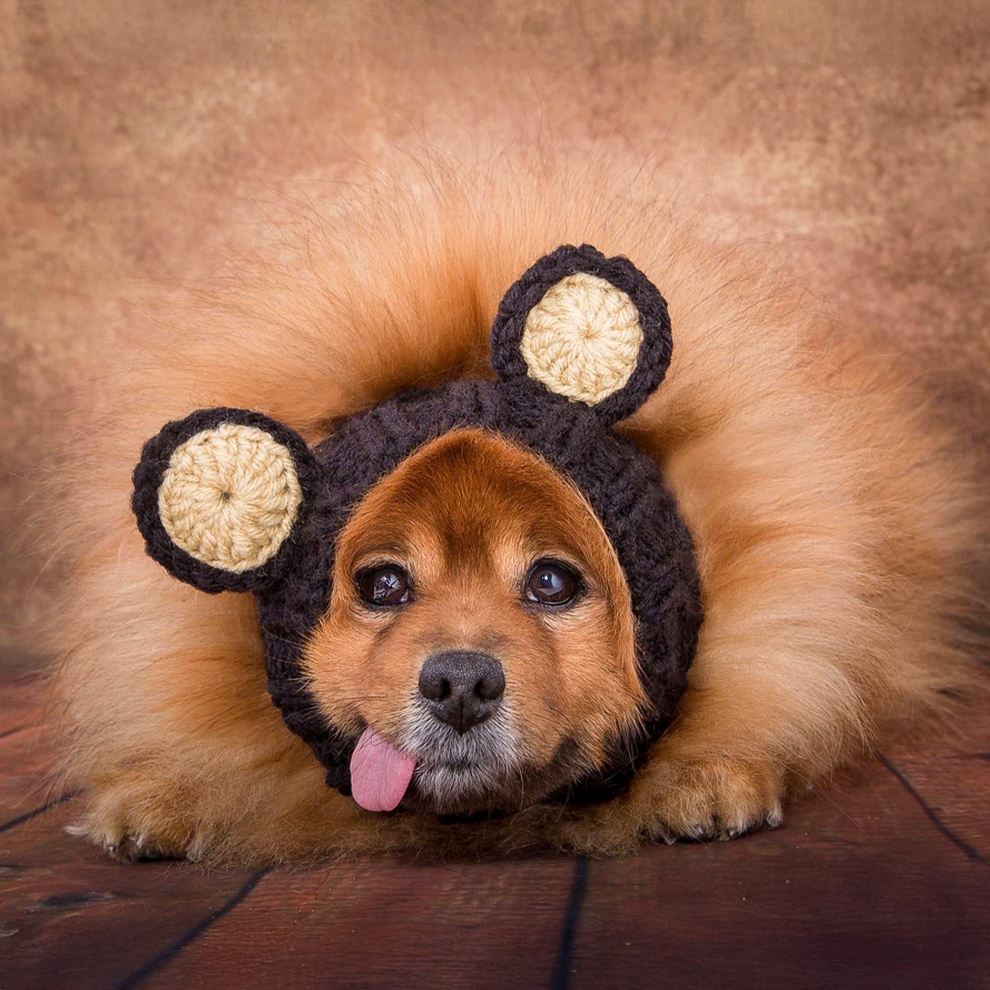 Zoo Snoods Bear Costume fits large breeds like Boxers, Labradors, and Shepherds.