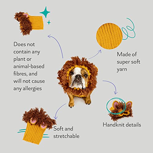 Zoo Snoods Lion Costume worn on small dog during winter for snug fit.