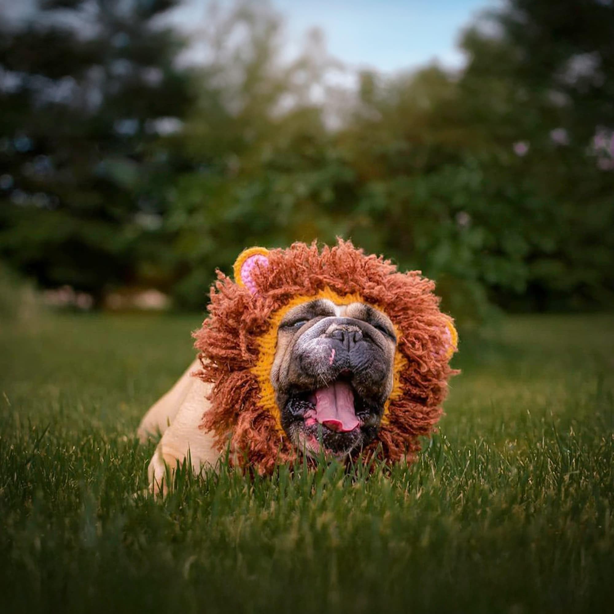 Zoo Snoods Lion Snood elastic bands provide adjustable fit.