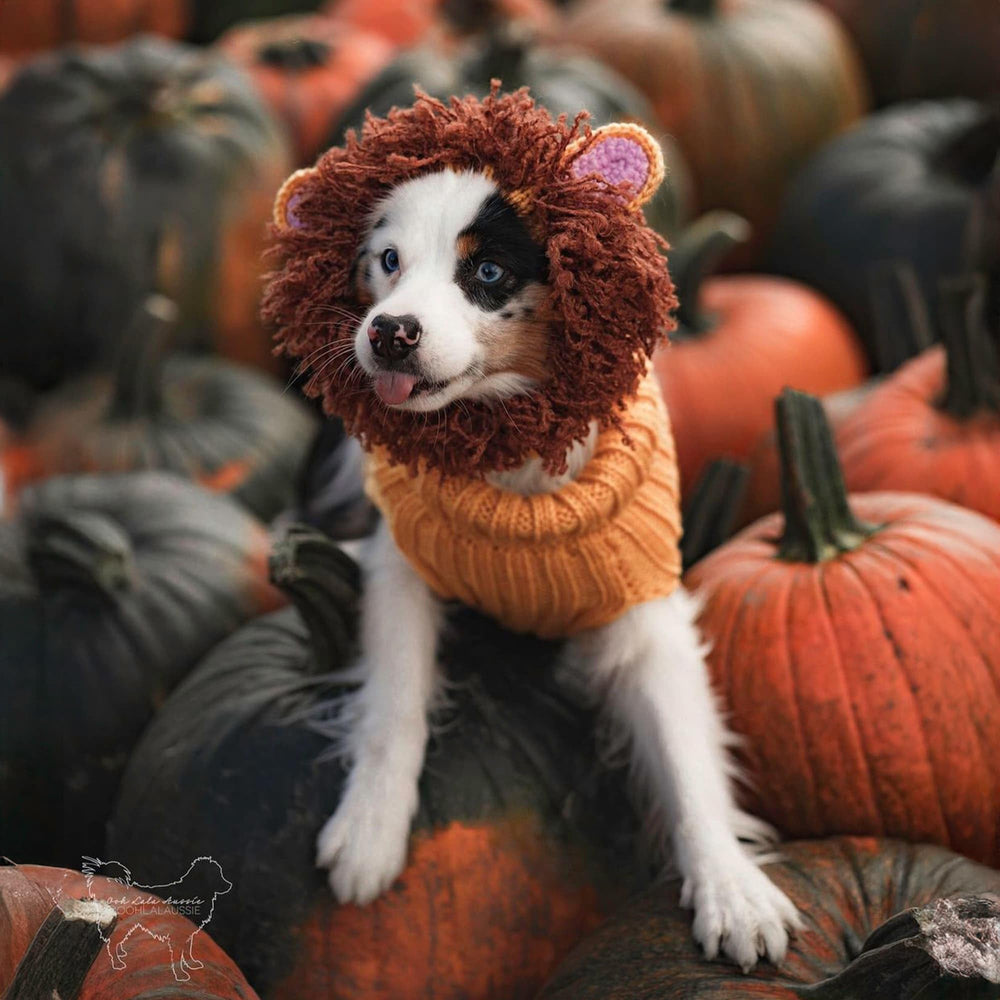 Zoo Snoods Lion Snood keeps dog warm during winter outings.