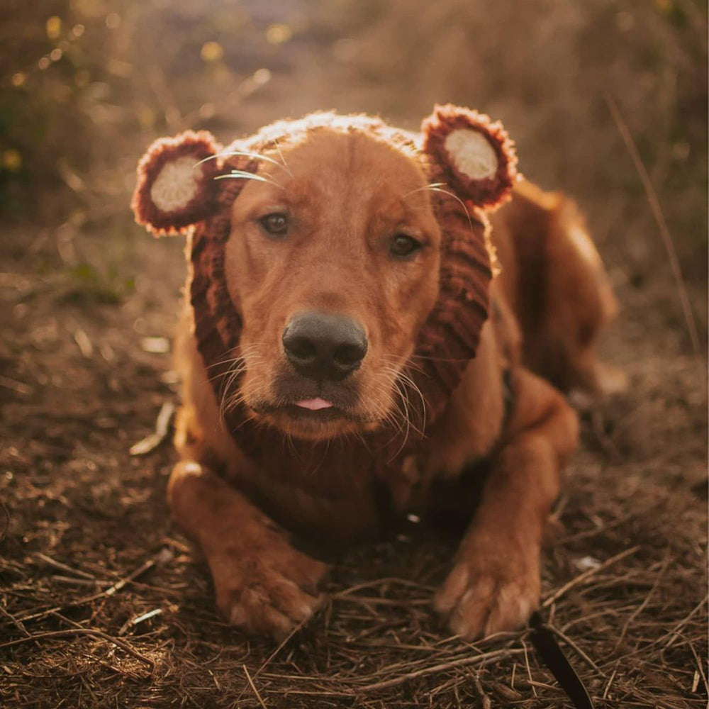 Zoo Snoods soft stretchy yarn delivers warmth without restricting movement.