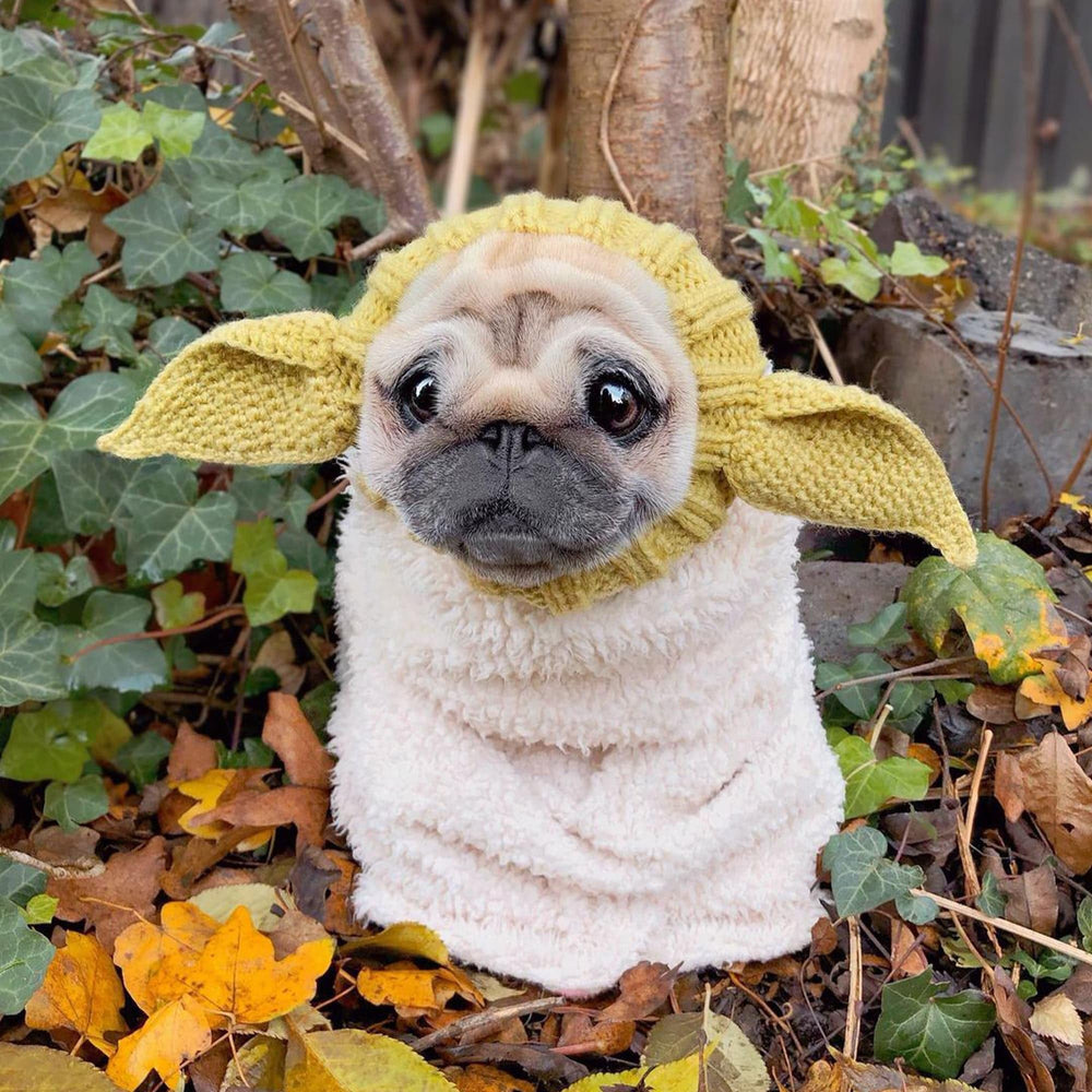 Zoo Snoods warm comfortable winter wear for pets