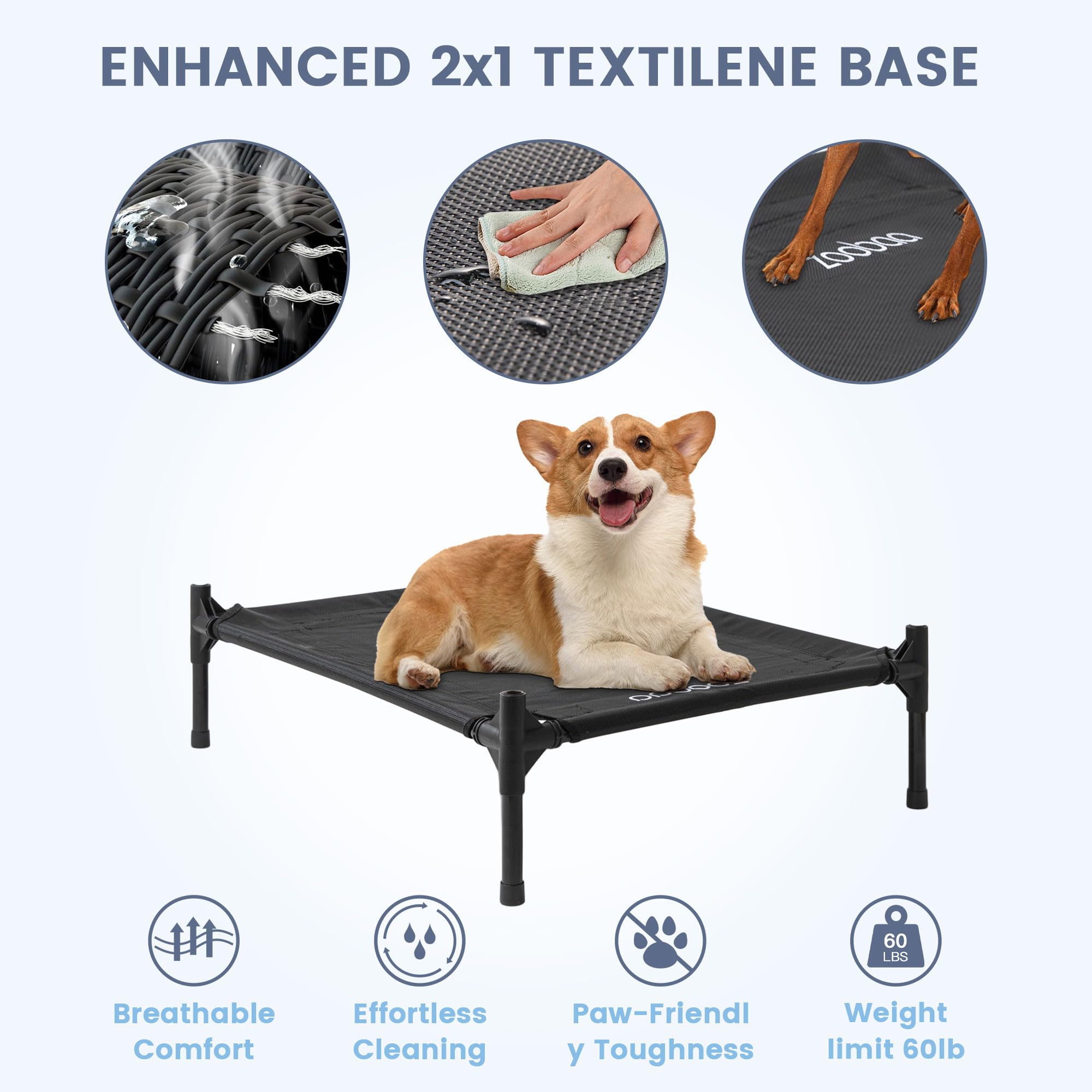 Zooba weatherproof dog house blue ensures all-weather use for medium breeds.
