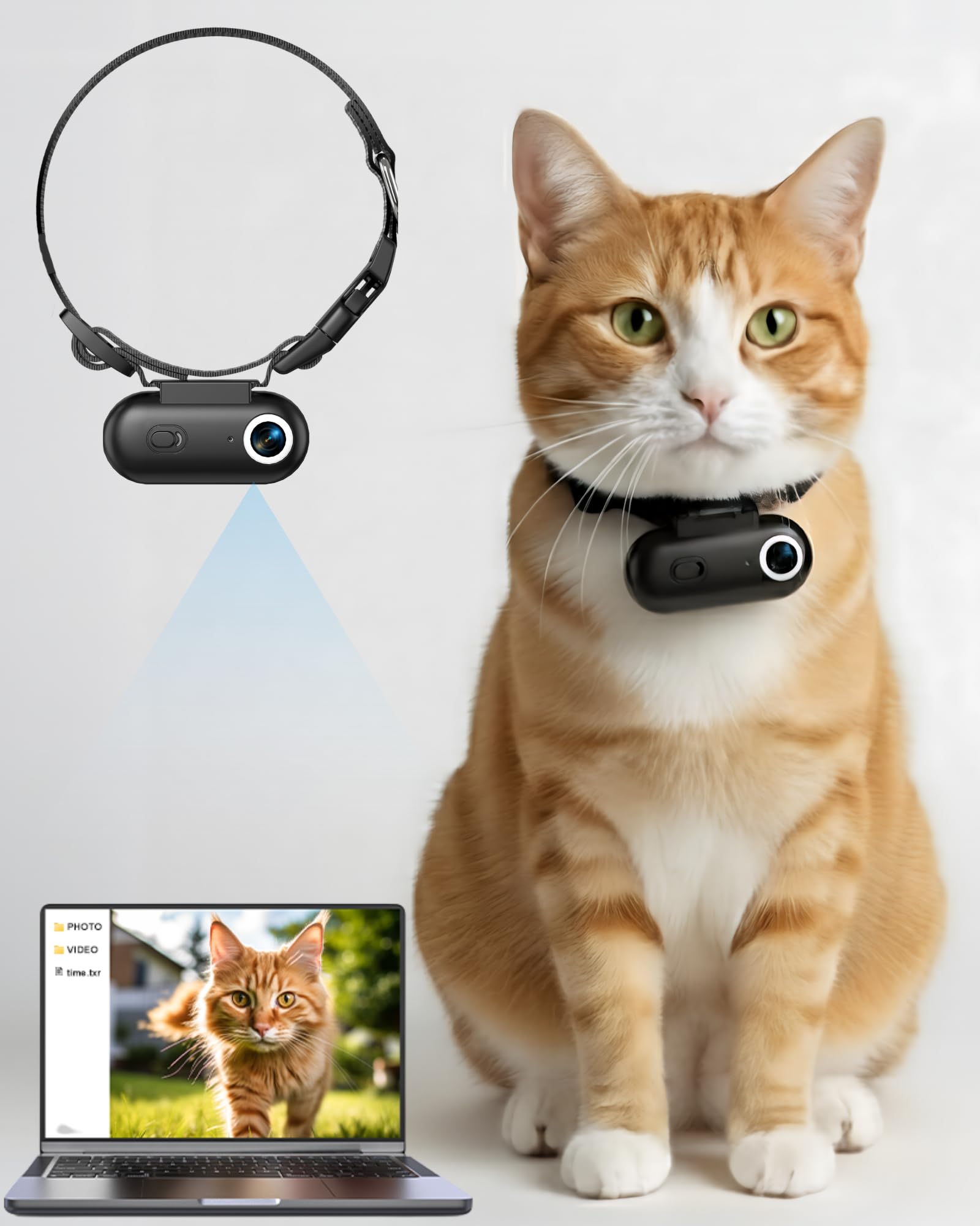 ZoomaraKam cat camera collar worn during play captures crisp everyday moments.