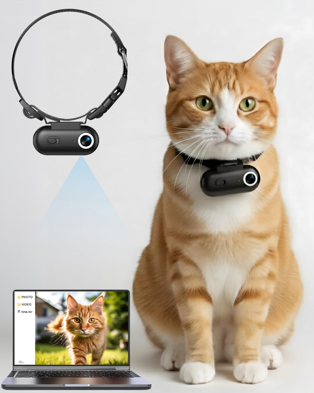 ZoomaraKam cat camera collar worn during play captures crisp everyday moments.